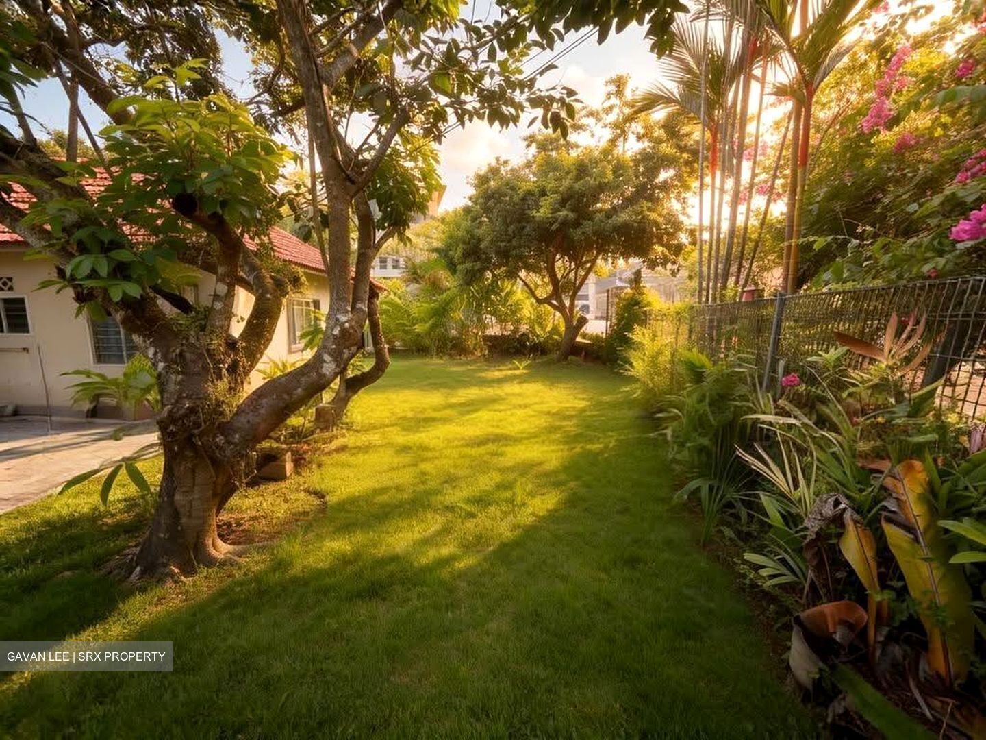 Adelphi Park Estate (D20), Terrace #613363611